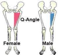 Q-Angle